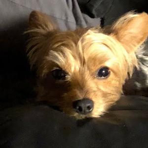 Meet your Posher, Jorja